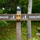 송이밸리자연휴양림 이미지