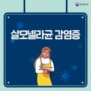 '살모넬라균 감염증'에 대해 알려드립니다. 이미지