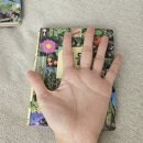 식물도감 | 🪐[자연관찰책] 연두비 어린이 포켓도감 3권세트 (동물·식물·곤충) | 휴대용 자연관찰책 후기🪐