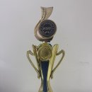 용인대 타이거 태권도&파워점핑 줄넘기 이미지