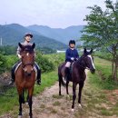 김서연CST아우름전인치유 | '호스테라피'의 대가 - '김철' 센터장님께 속성으로 배워본 승마! - 나다 호스테라피센터