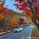 단풍축제가 열리는 남해 내산마을 이미지