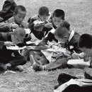 보배도시락 이미지