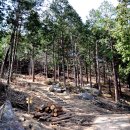 숲길농원 이미지