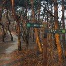 입화산 야영장 2 이미지