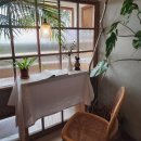 아주르 | 제주 서귀포 남원 카페 아주르블루 후기｜동백꽃과 바다뷰가 아름다운 감성카페