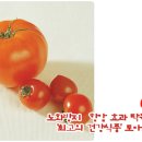 노화 방지· 항암 효과 탁월한 '최고의 건강식품' 토마토 이미지