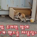 고양이가 밭에 못 들어가게 펜스를 쳐달랍니다 이미지