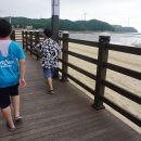장경리 한방통닭