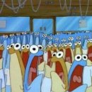 멸치가 살아있는 국수 이미지