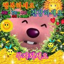 새보령약국 이미지