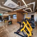 머슬프리덤 이미지