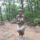 정령의숲 이미지