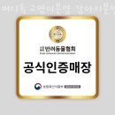 버디독 고양이분양 강아지분양 안심분양센터 인천점 이미지