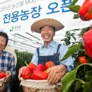 전용농장 이미지