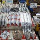 부광상사 이미지