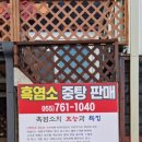 시정골흑염소전문식당 이미지