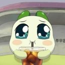 리얼짐 이미지