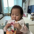 더 배냇 | 실온이유식 배냇밀 이유식 중기 후기 완료기 파우치