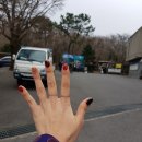 네일샤베스