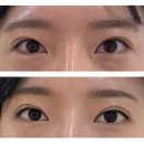 바이율 - 포항시 북구 | 신가동 속눈썹펌 잘하는 집 ' 바이율뷰티' 미친 유지력 꼼꼼시술 내돈내산 후기