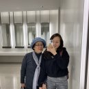 Hawaii PT 이미지