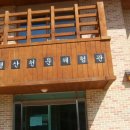지리산산삼산야초 이미지
