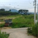 동월마을회관 이미지