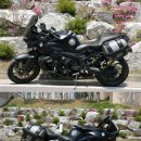 BMW K1200R 팝니다.(국내 1대 커스텀도색) 이미지