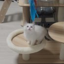 365분식 이미지