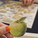 보드게임 타고 그림책 여행 | 전략보드게임 추천 ! 과학자가 되어보자 유로게임 뉴턴