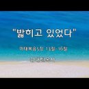 ＜230810＞ 달이 빛나고 별이 흐르는 밤에 / &#34;밟히고 있었다&#34; / 마태복음5장 13절~16절 이미지