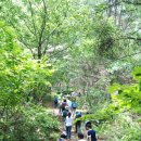 품걸리오지마을길(봄내길 6코스) 이미지