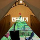 향기캠프 앞 | [대전 근교] 아기랑 강아지랑 당일치기 글램핑!🏕️ 반려견 동반 가능한 캠핑장 캠프향기 후기