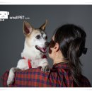 뽀샤시 이미지