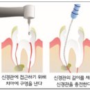 닥터강치과의원 이미지