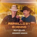 Amarillo By Morning - The Best Of Classic 이미지