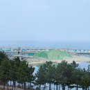 리벤티아 이미지