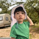 돌고래오토캠핑장 이미지