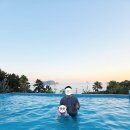 팜오션 | 제주 숙소 추천 | 이국적인 비스비제주 앤 팜빌리지 오션뷰 가족숙소 후기