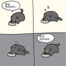 순진한 강아지 이미지