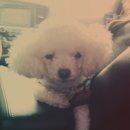 둥기농장 이미지