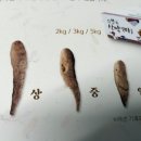 녹전식품 네이버블로그