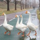 수영강 관리사무소 이미지