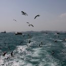 경주(부산) 이미지