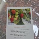 해든농원