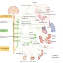 열린치유한의원 이미지