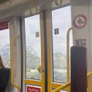 별빛사냥 | 호주여행 일정 시드니 명소 5곳 일일투어 패키지 후기::페더데일 동물원-블루마운틴-링컨스락-별구경 등...