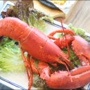 충청도7호