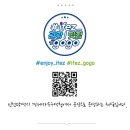더블루피쉬